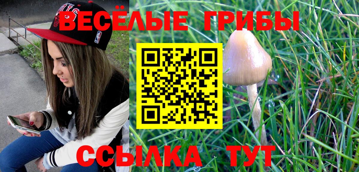 Галлюциногенные грибы Cubensis Семилуки