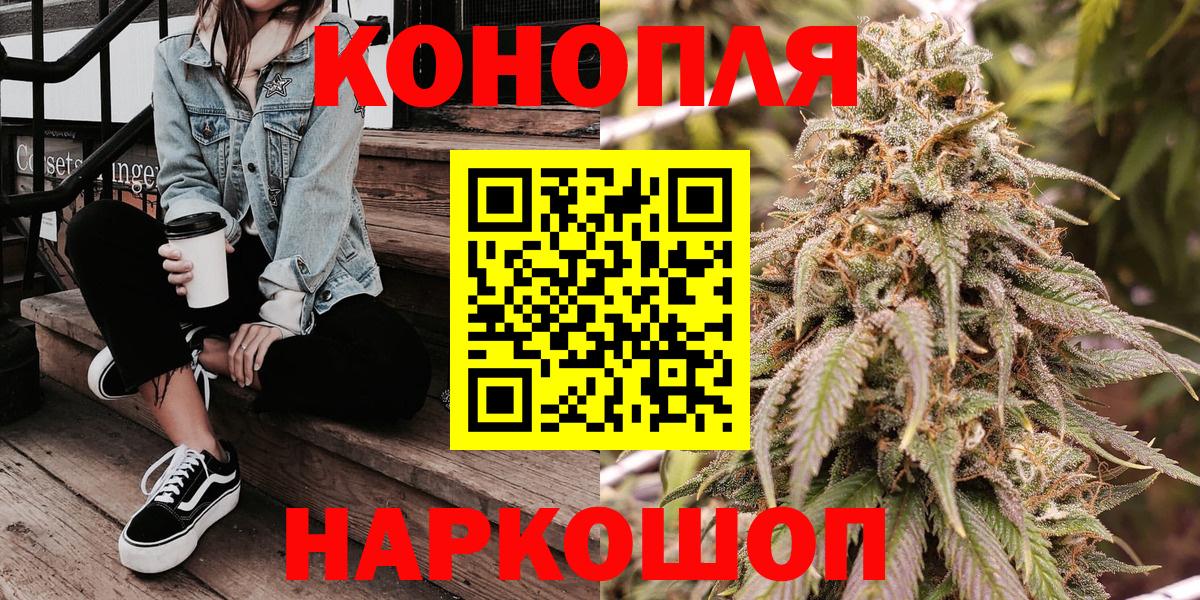 Каннабис сатива Семилуки